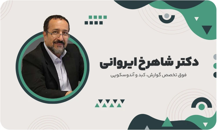 شاهرخ ایروانی